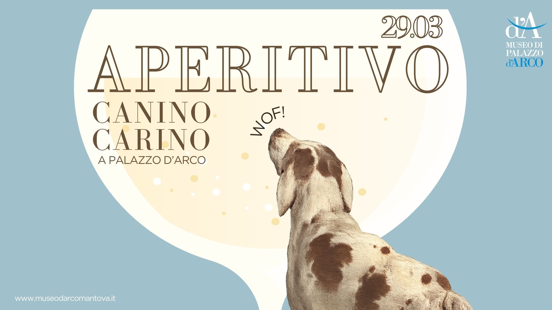 aperitivo canino carino