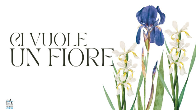 ci vuole un fiore